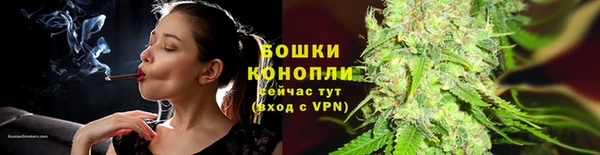 Альфа ПВП Гусь-Хрустальный