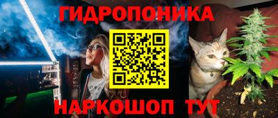 СК Конаково