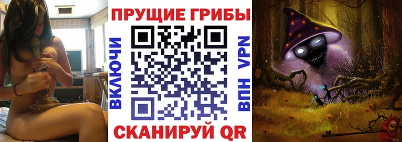 Галлюциногенные грибы мицелий  Донской 