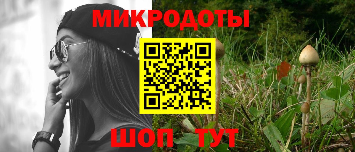 Галлюциногенные грибы прущие грибы Донской