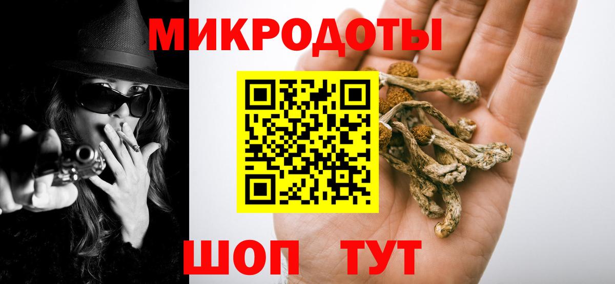 Донской  Галлюциногенные грибы Psilocybine cubensis  Вход с VPN 