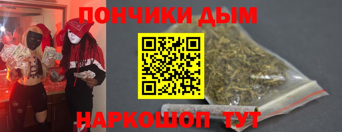 Бошки Шишки семена Донской
